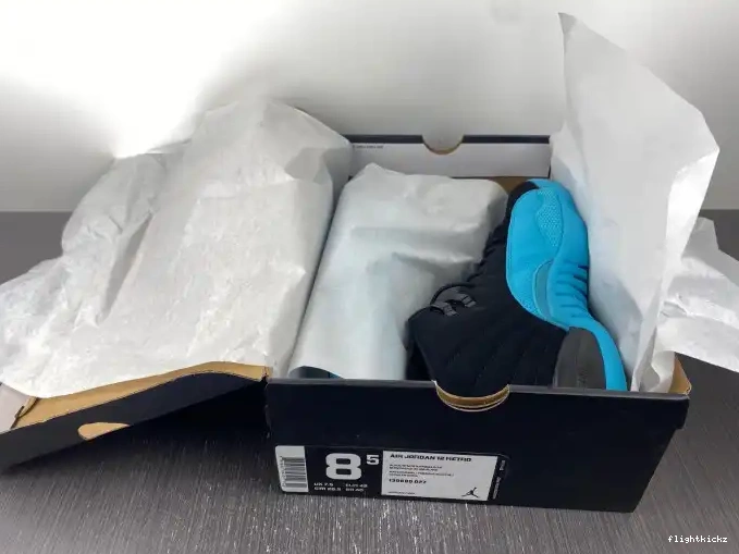 Retro Gamma 12 Blue Jordan 130690-027 0701